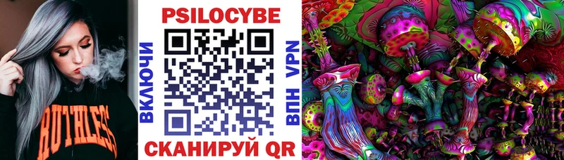 Псилоцибиновые грибы Cubensis купить Верхняя Тура